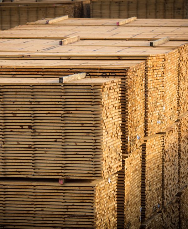 wholesale-timber-3